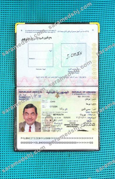 Lebanon passport photo look